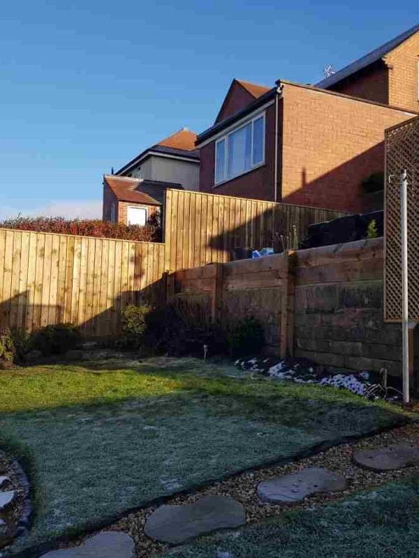 completed fence and trellis